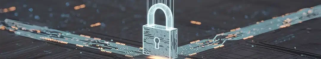 1Encrypted Data Handling